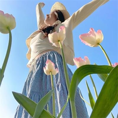 妖精琳琳的秘密
